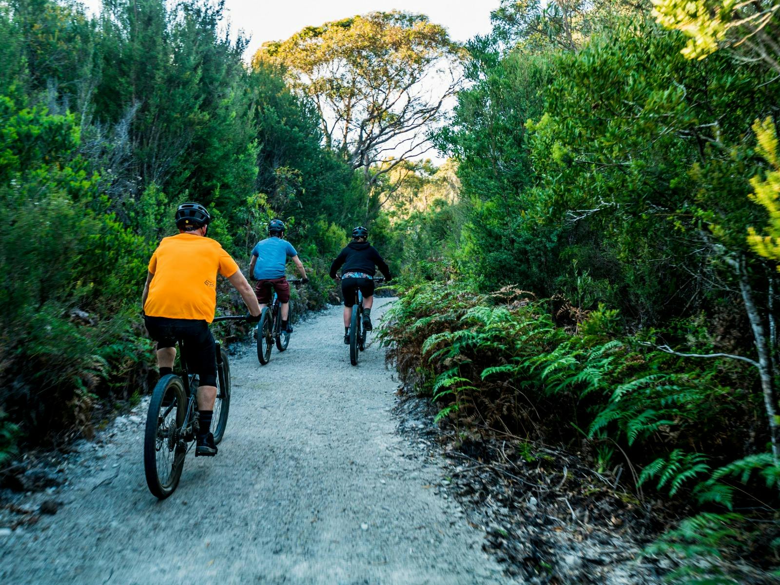 Ocean Beach MTB Trails