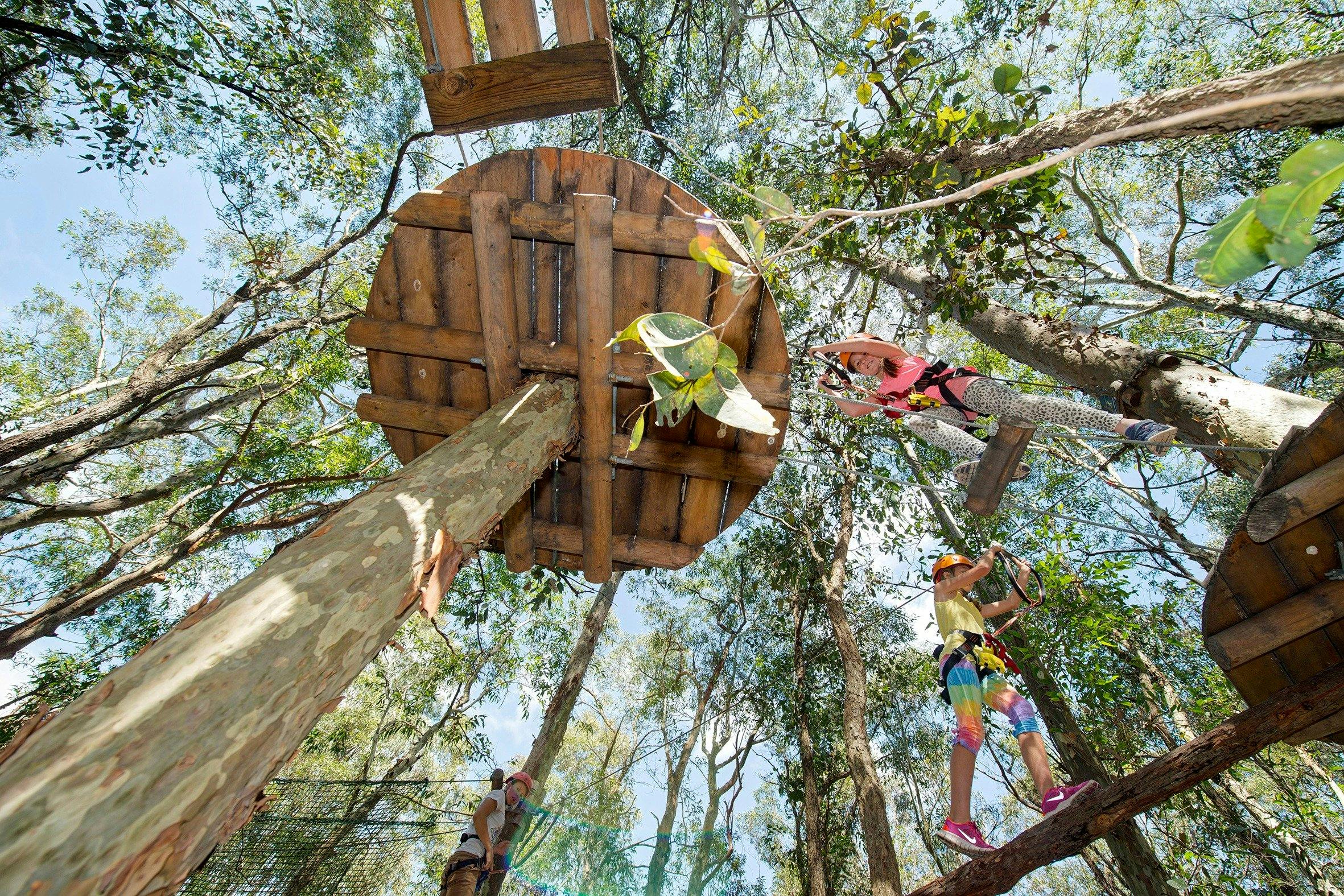 Treetops Adventure Newcastle Visit Newcastle