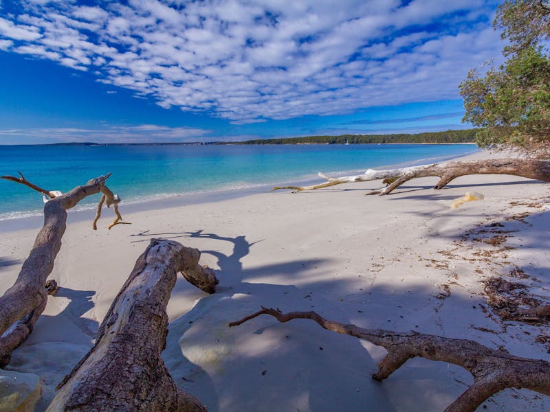 Bristol Point Beach | NSW Holidays & Accommodation, Things to Do ...