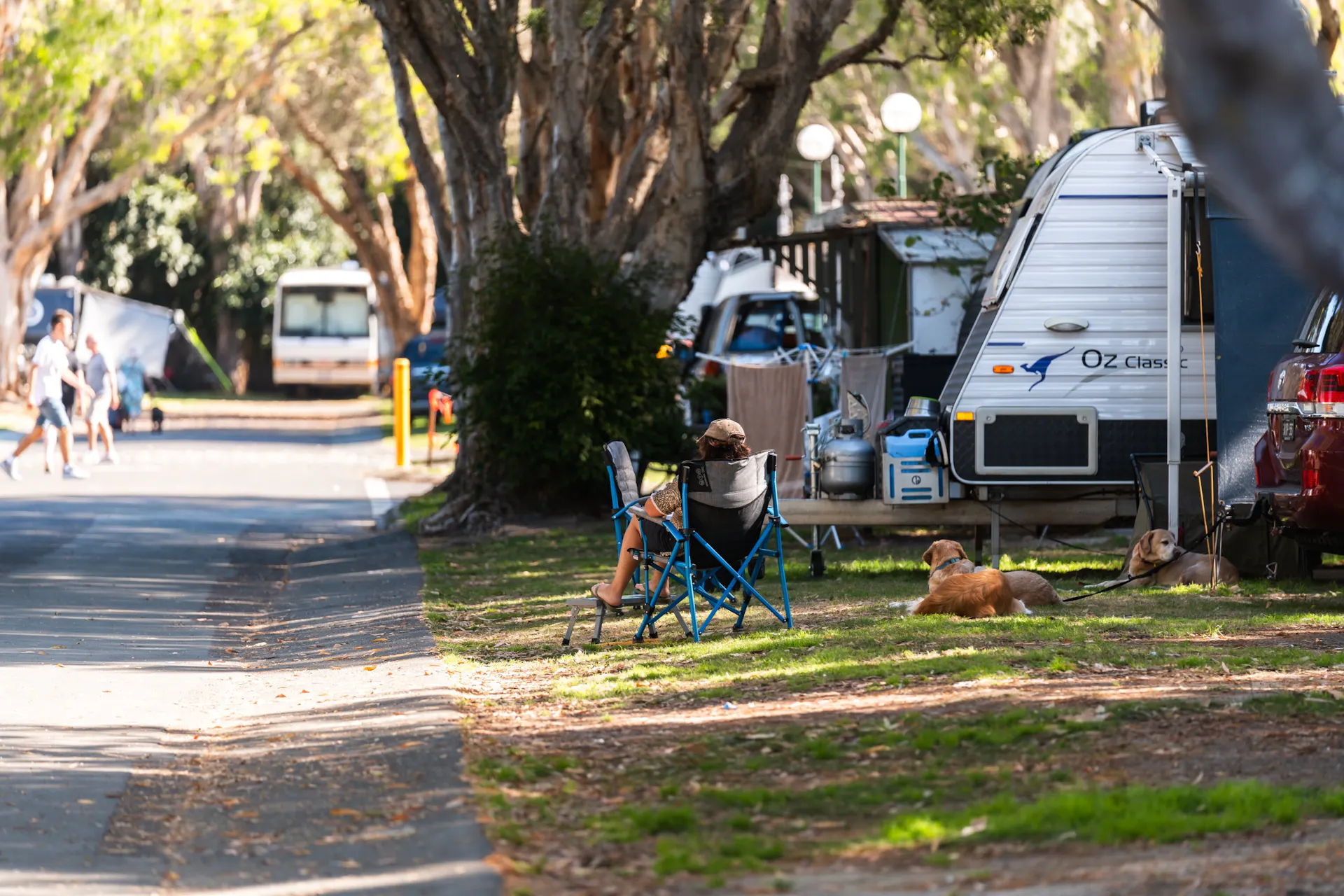 Shot of lady sitting in chair under large tree shade with small dog at Mudjimba Beach Holiday Park