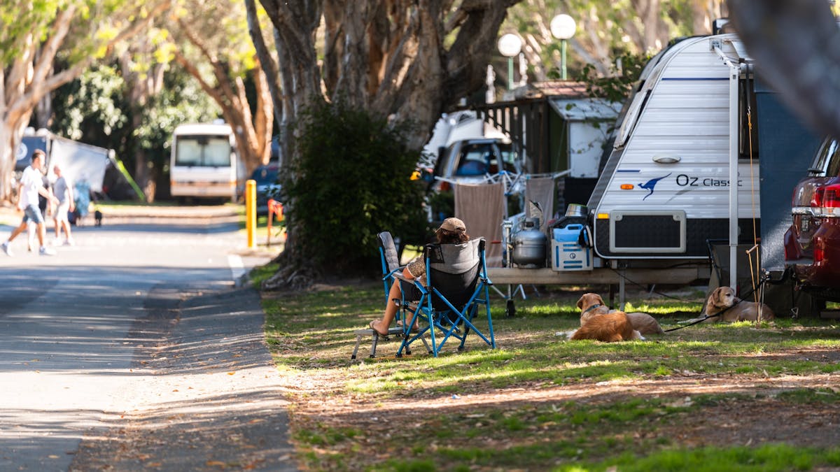 Shot of lady sitting in chair under large tree shade with small dog at Mudjimba Beach Holiday Park