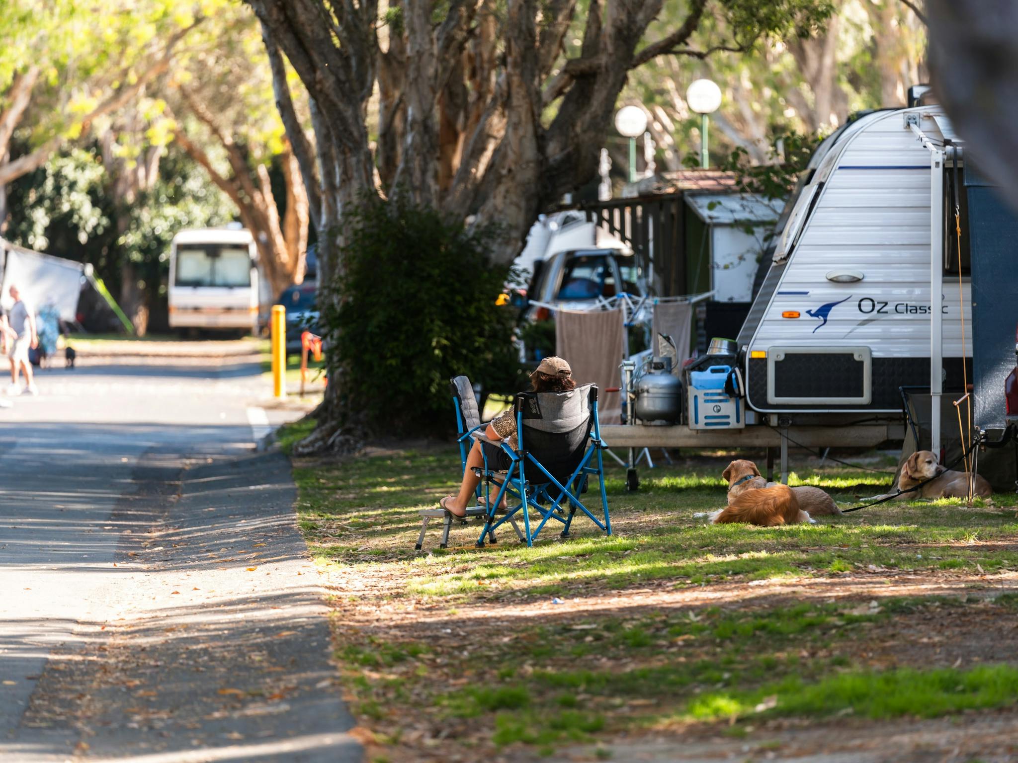 Shot of lady sitting in chair under large tree shade with small dog at Mudjimba Beach Holiday Park Shot of lady sitting in chair under large tree shade with small dog at Mudjimba Beach Holiday Park