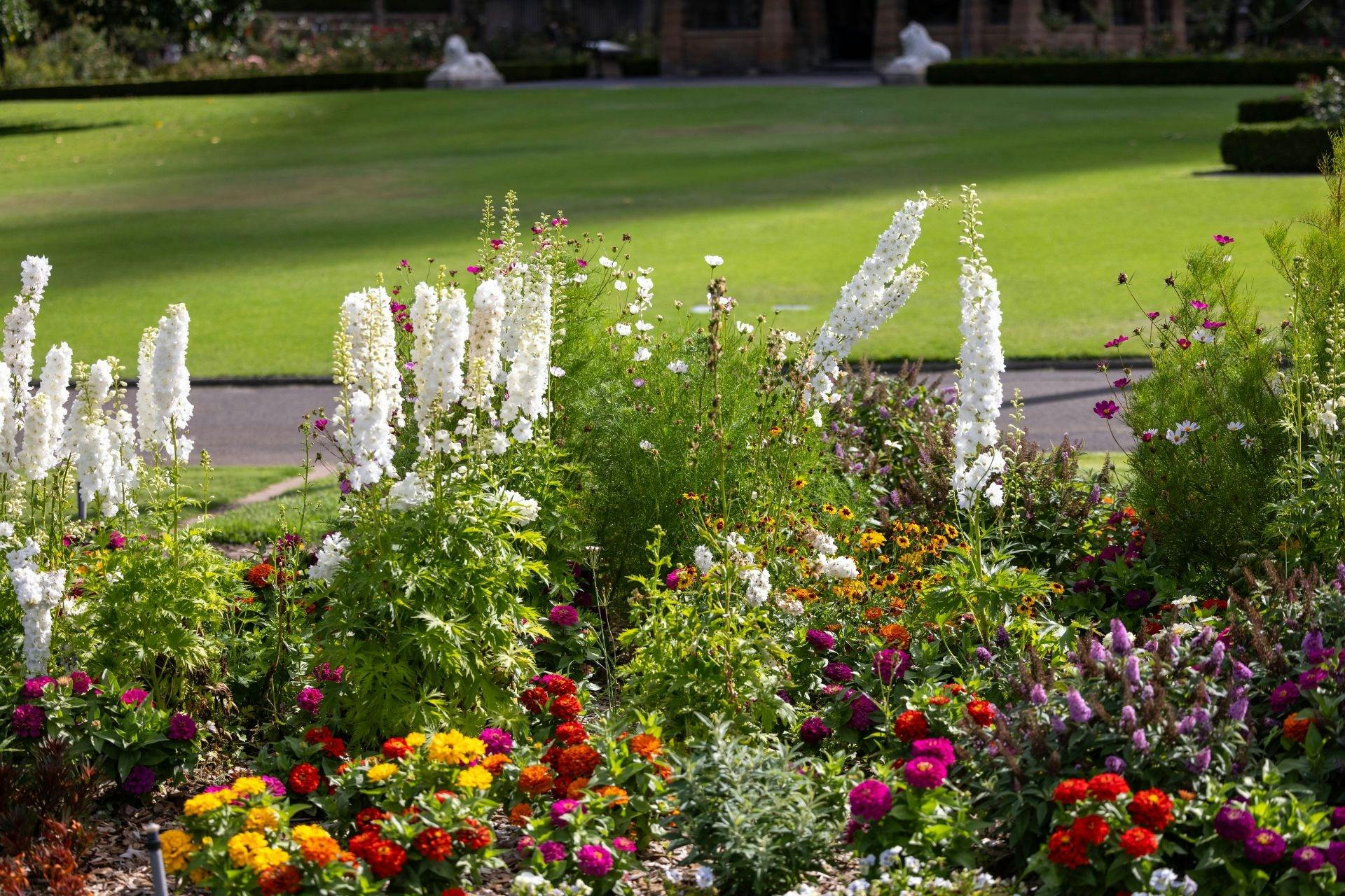 New cultivars are tested in the Trial Garden to see which are best suited to Sydney's conditions.
