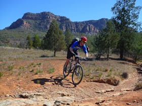 flinders by bike