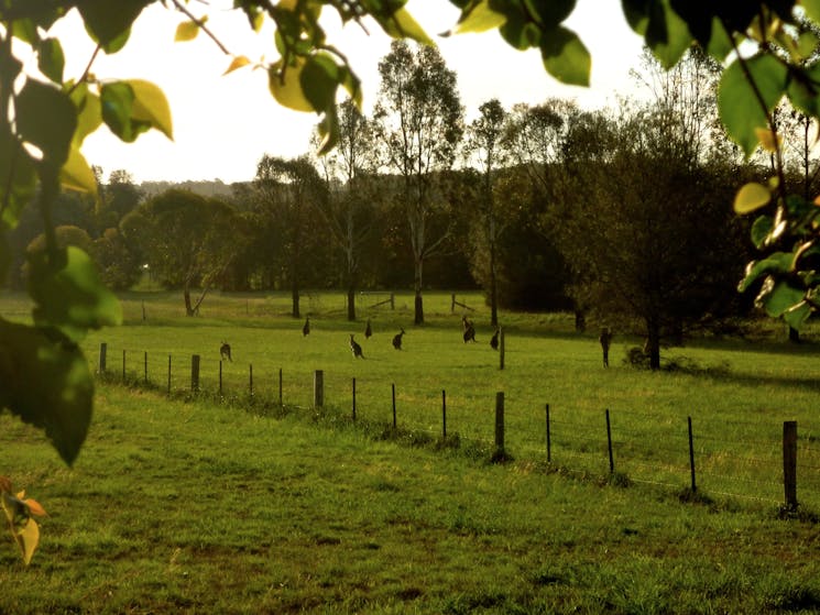 Silverpoint Accommodation | Hunter Valley