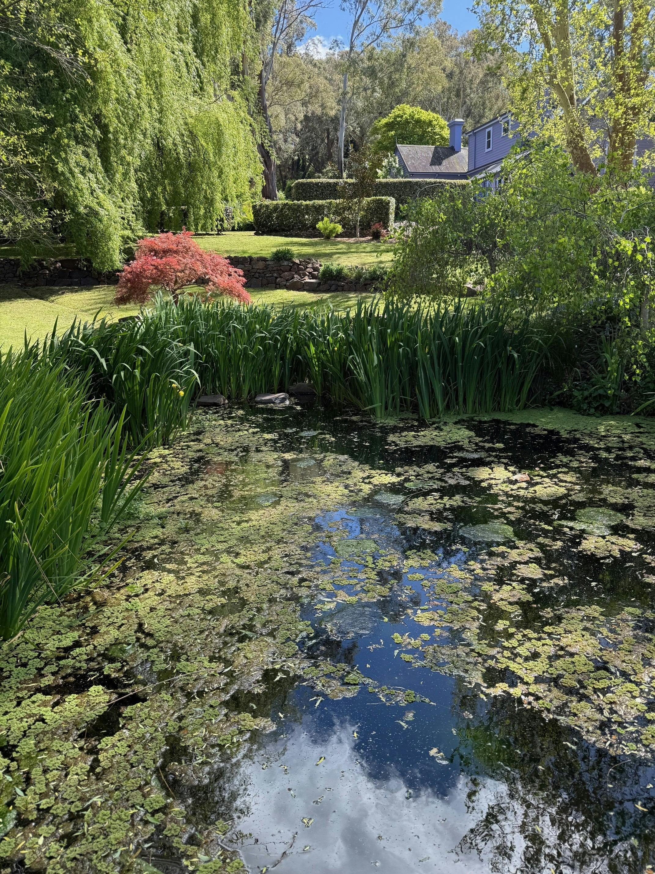 Autumn Gardens Weekend and Plant Fair