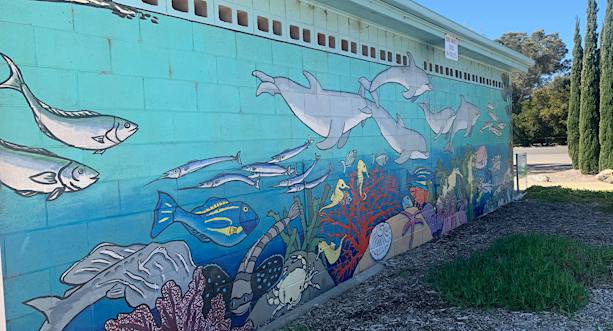 Conry Point Corny Point Mural - Corny Point, Attraction