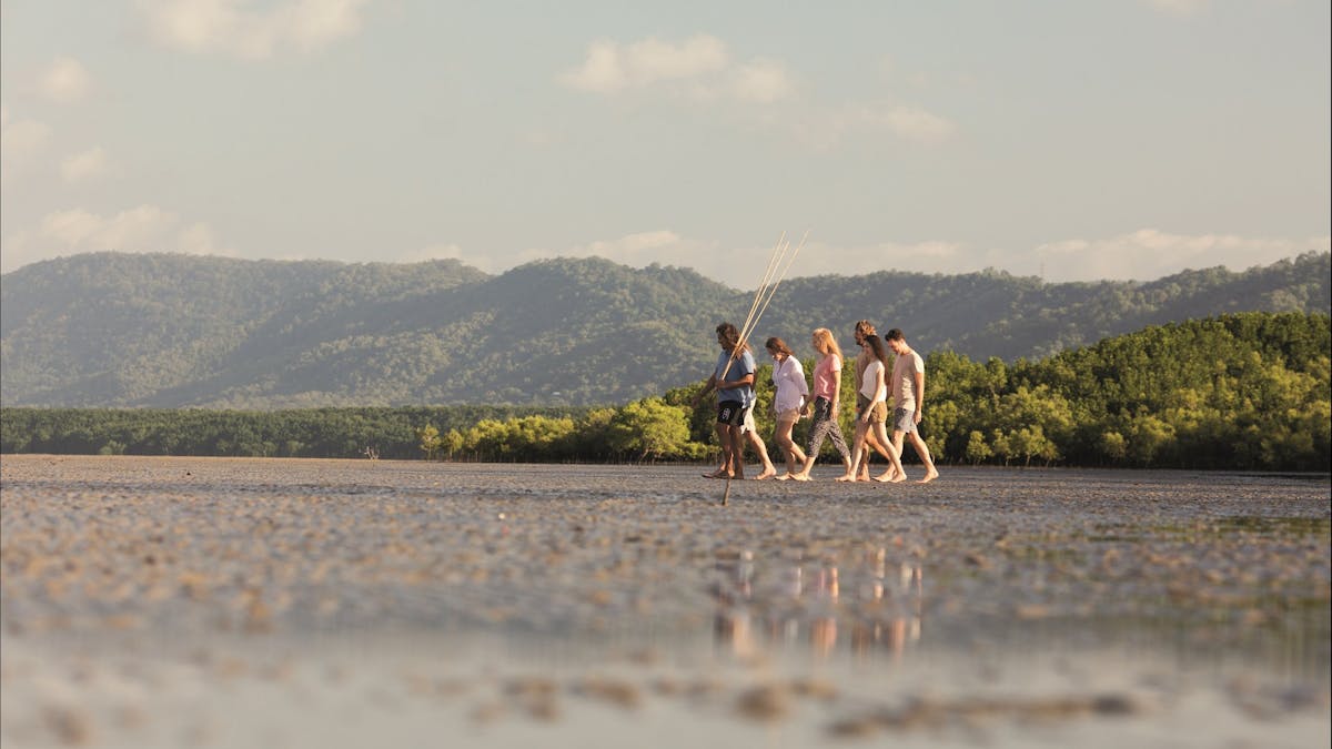 Kuku Yalanji Cultural Habitat Tours