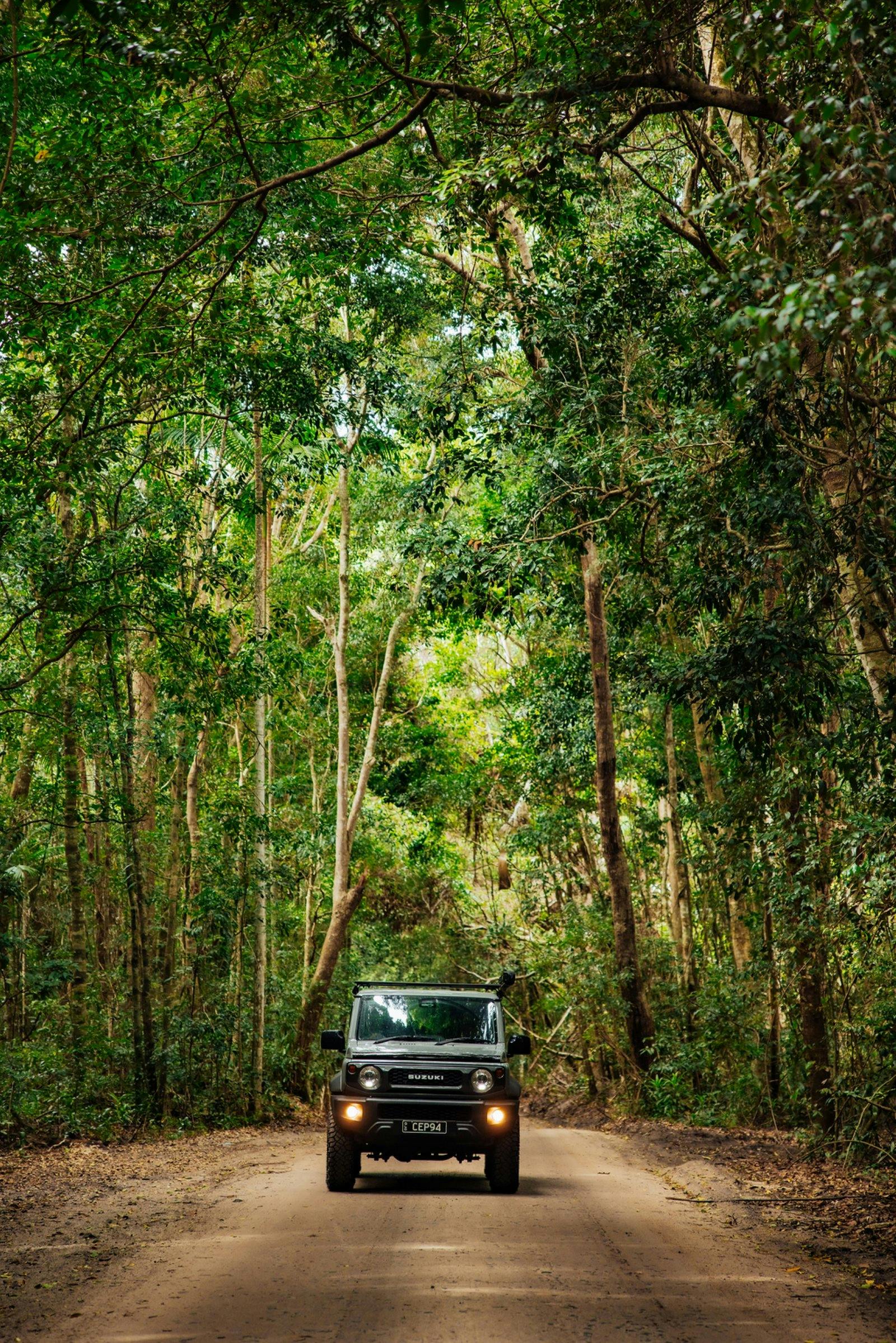 Toolara State Forest