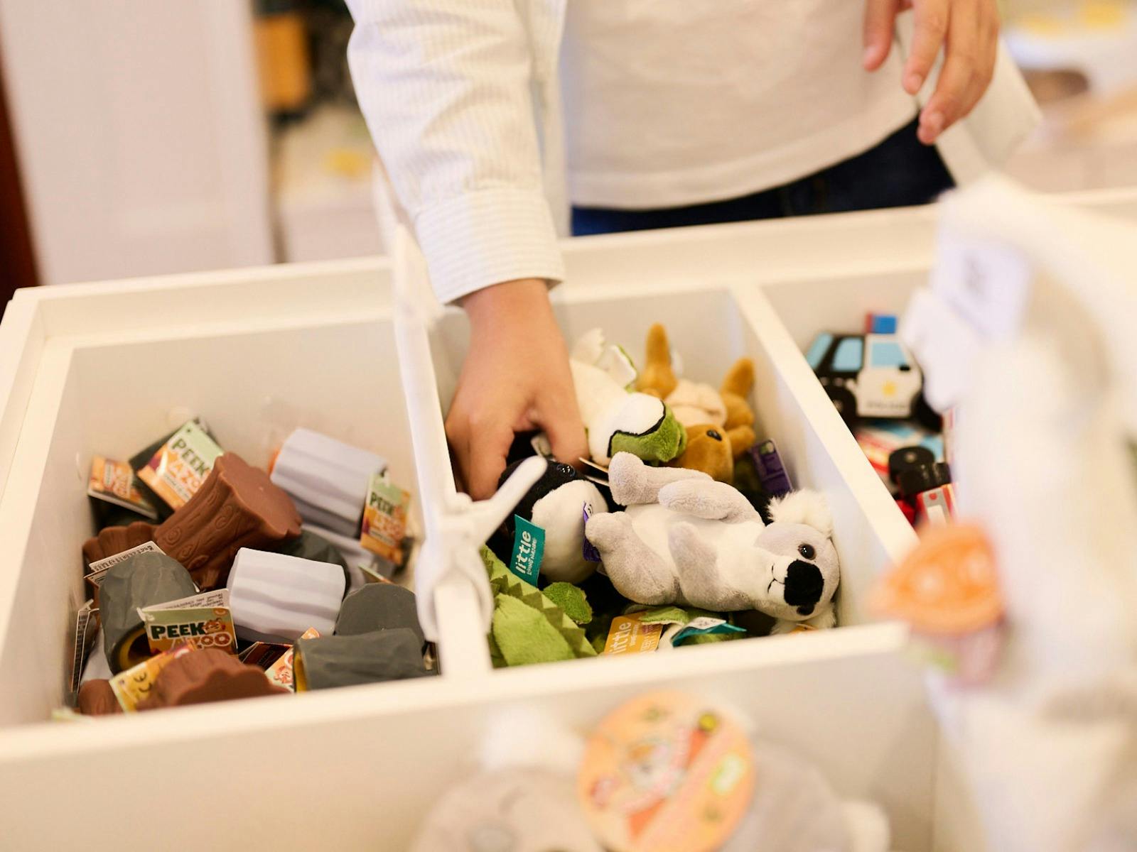 Visit The Shop at the Museum of Australian Democracy, Old Parliament House