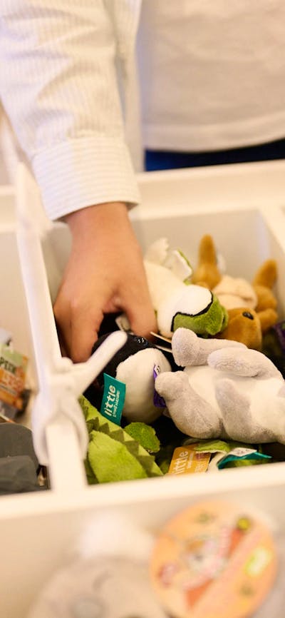 Visit The Shop at the Museum of Australian Democracy, Old Parliament House