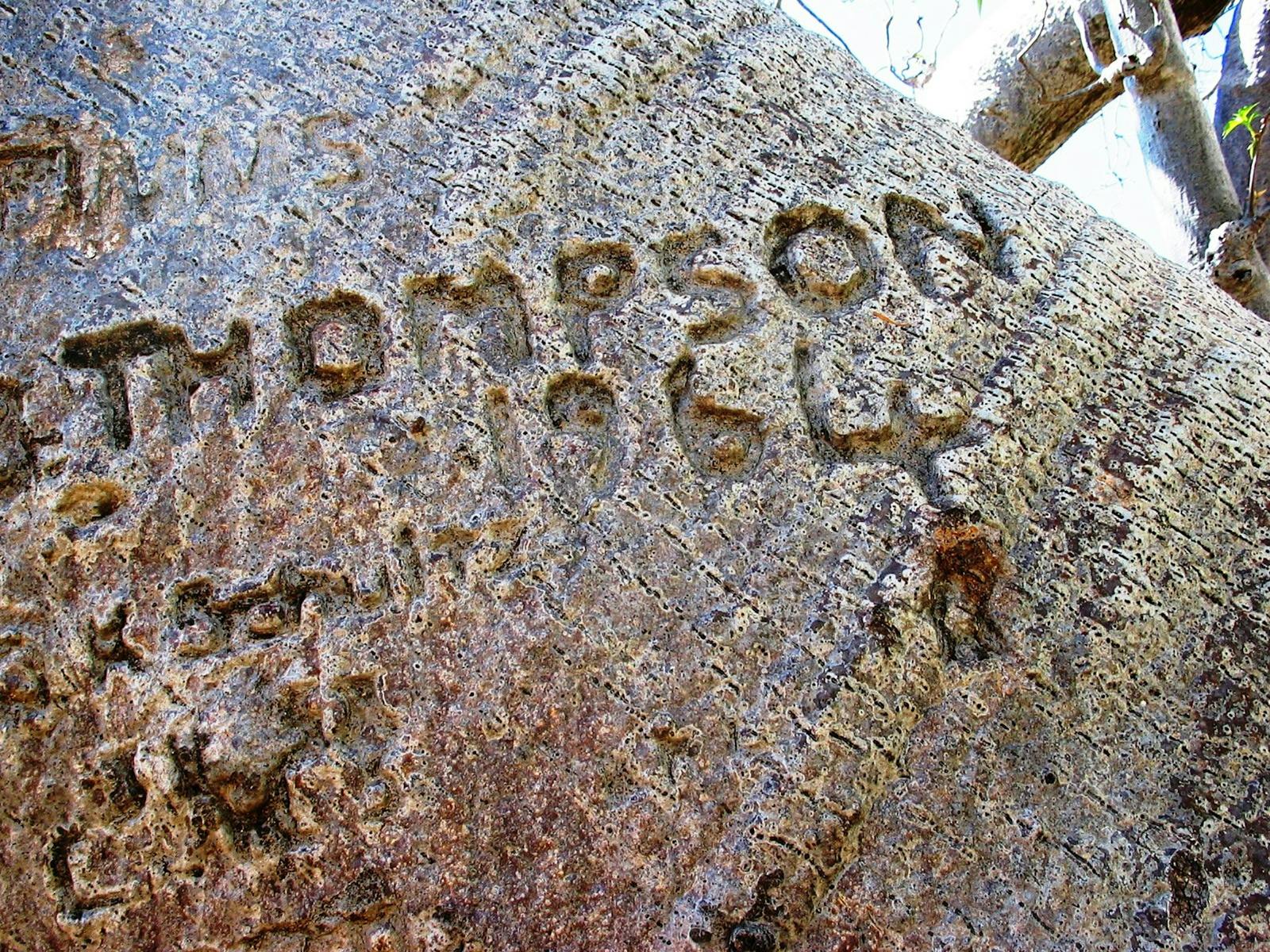 Drover’s Rest Boab Trees, Bullita