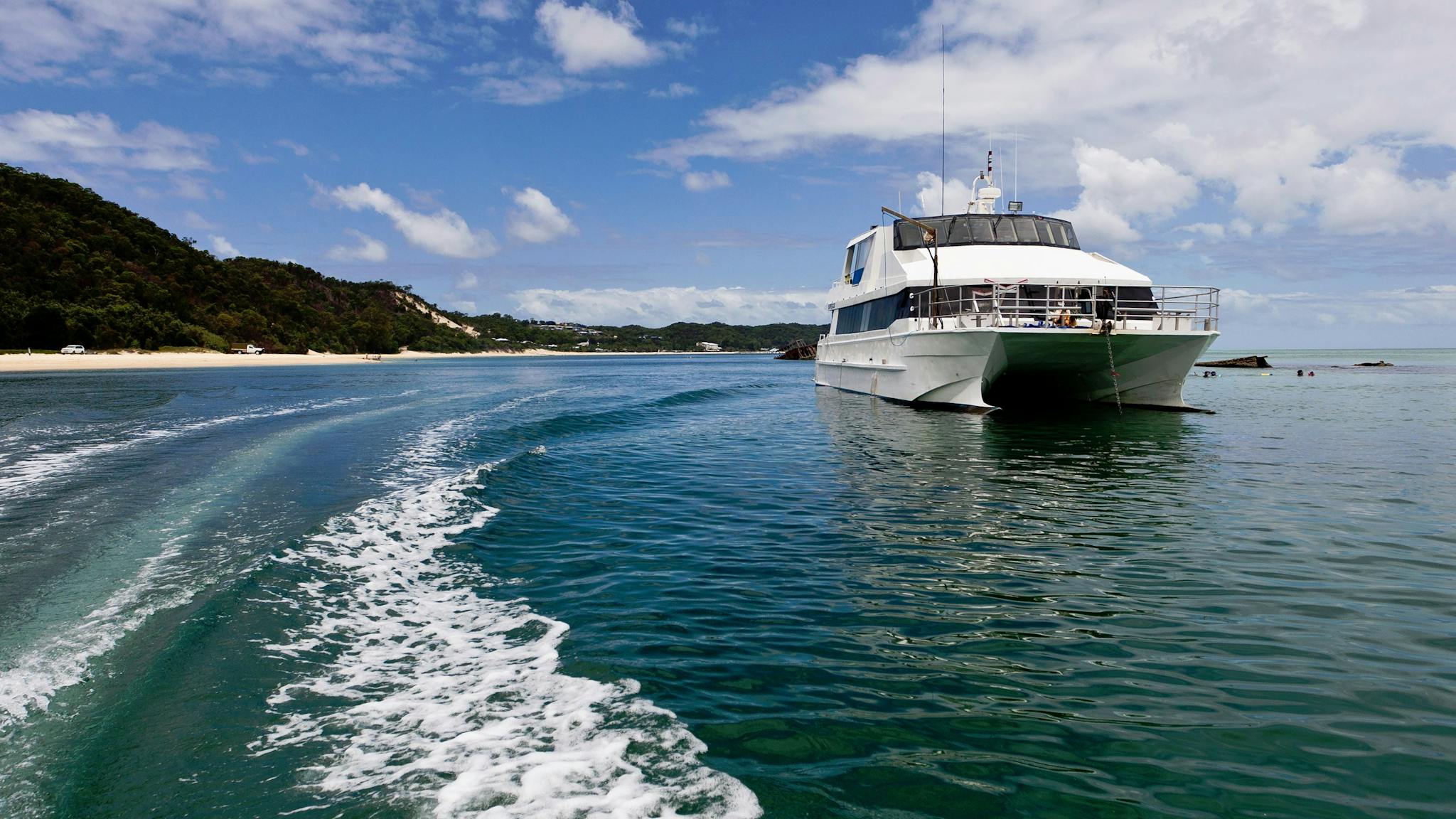 Dolphin Wild - Island Cruises