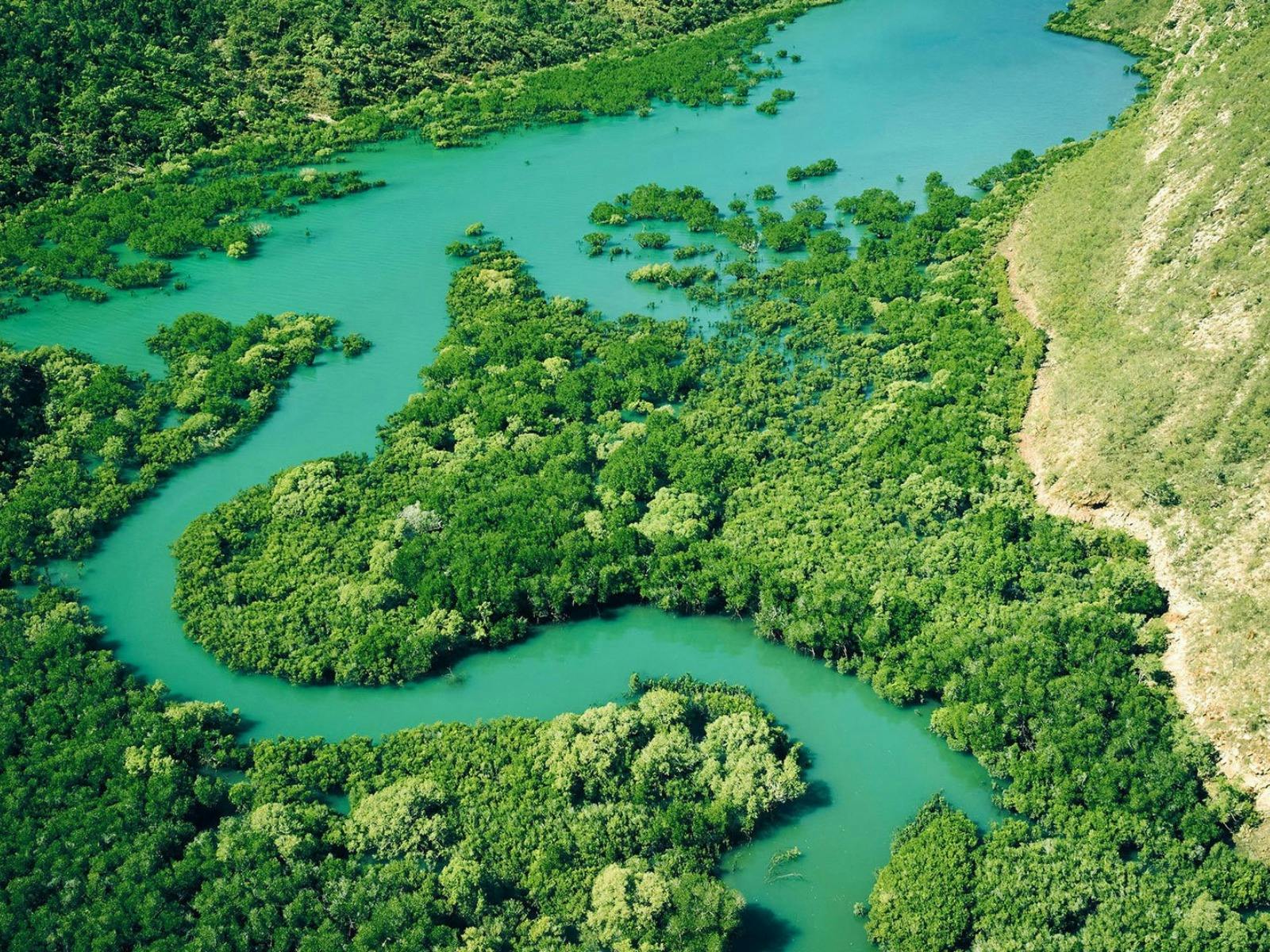 aerial shot of water