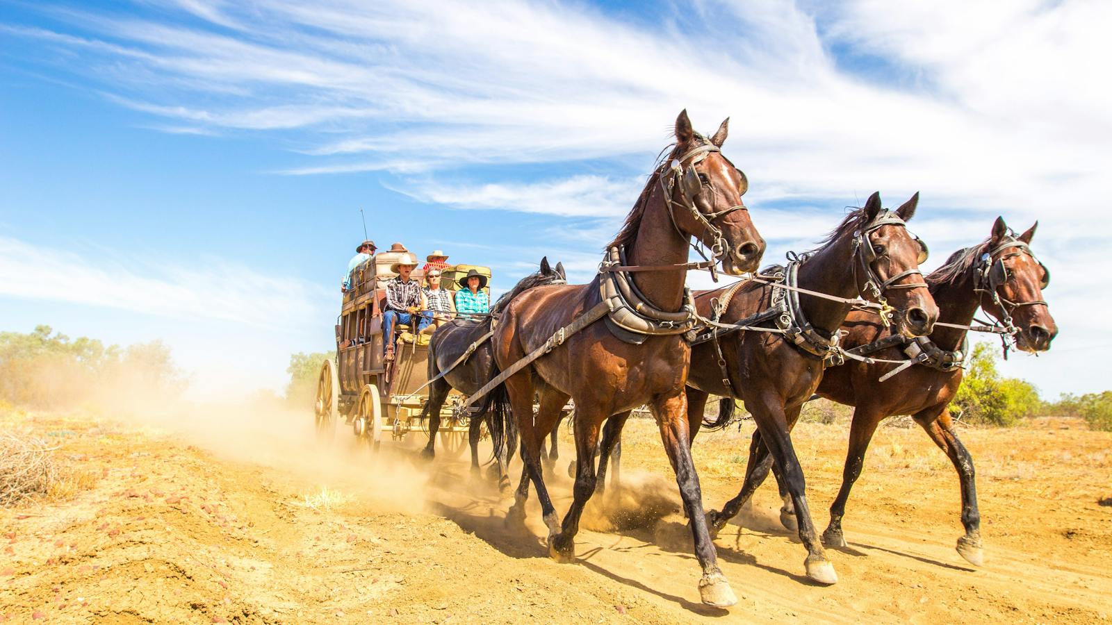 Cobb and Co Stagecoach Ride