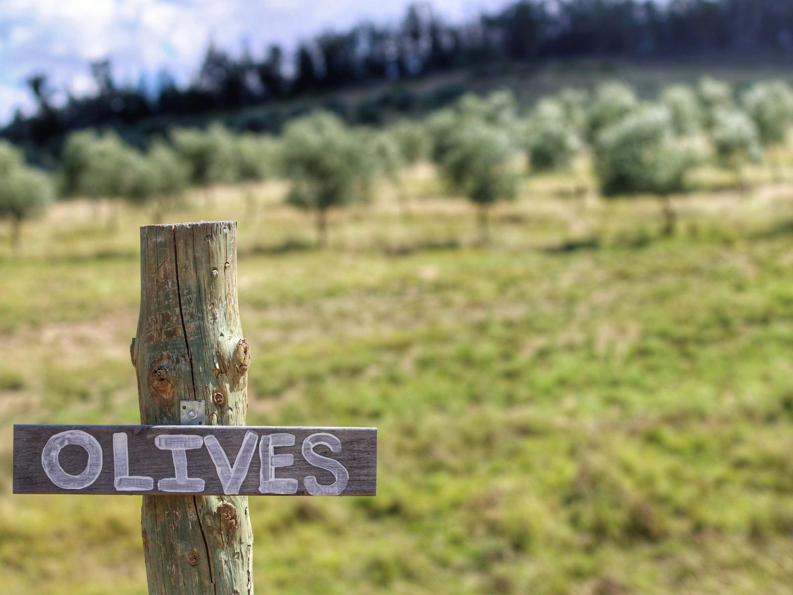 Glen Donald Estate Farm Tour