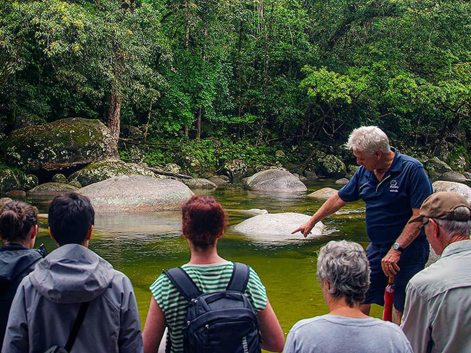Cape Tribulation, Daintree & Mossman Gorge - Premium Rainforest Tour