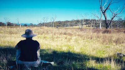 Woman sitting in grasslands looking out at trees