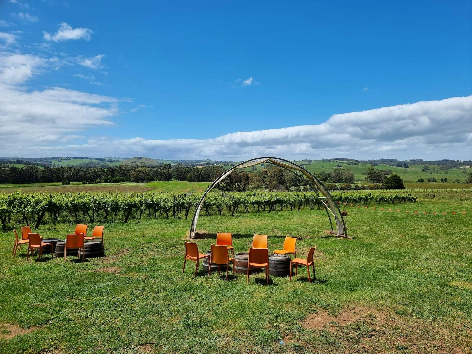 Phillip Island Wineries Experience Day tour