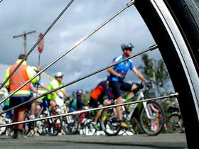 Dungog PedalFest Cover Image