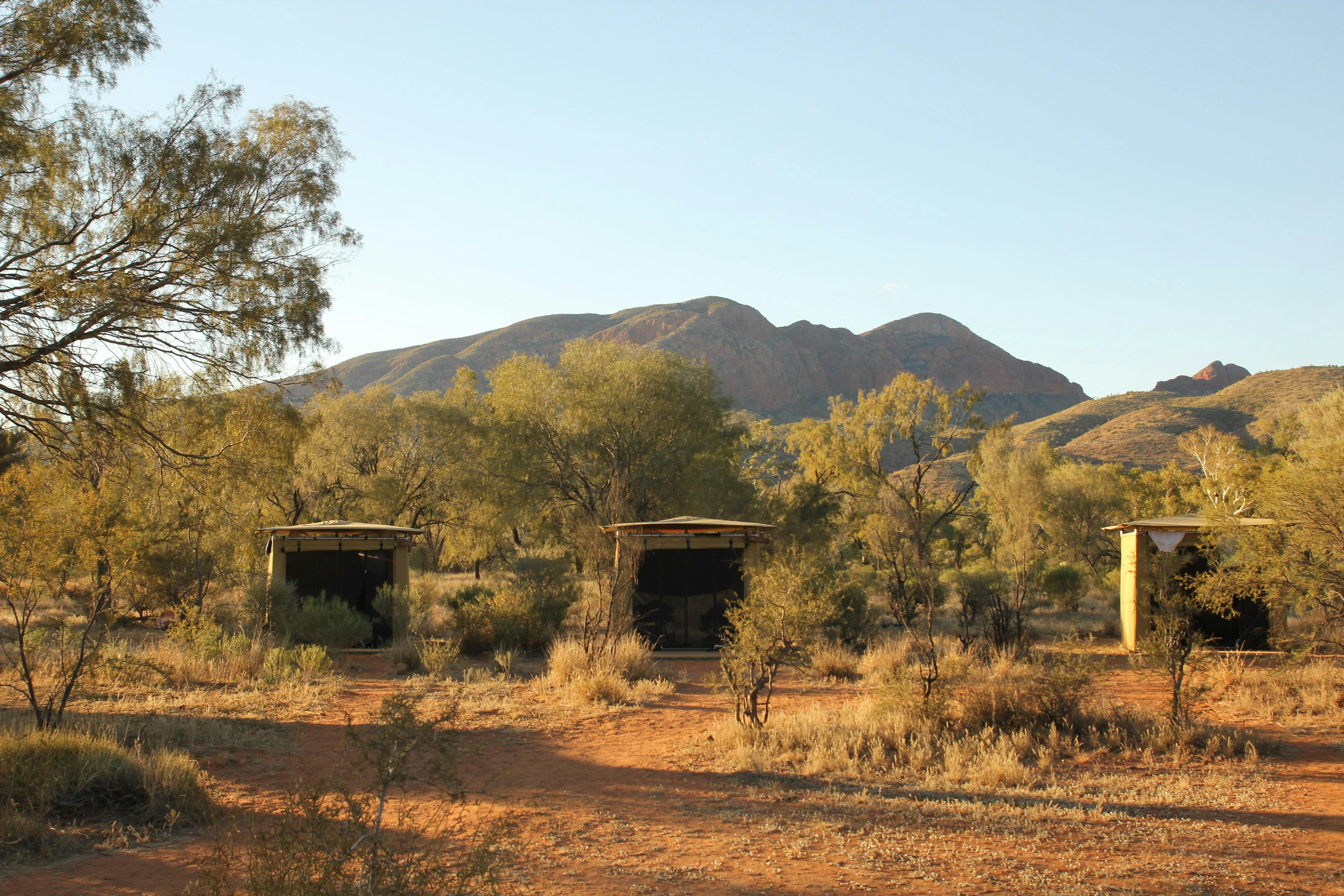 Spacious tents along the Larapinta Trail