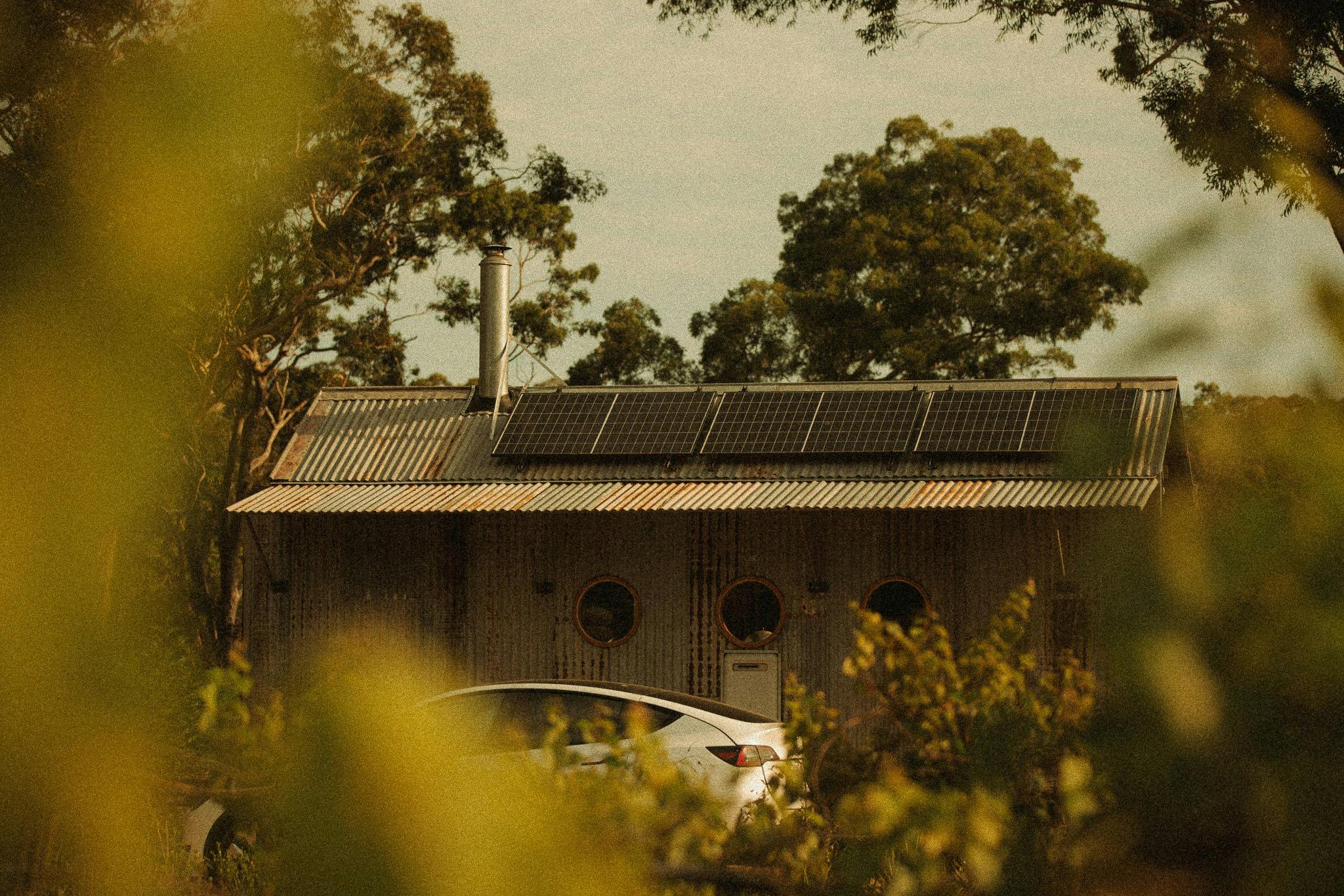 Sally the Skywatcher at B Farm by Murrays