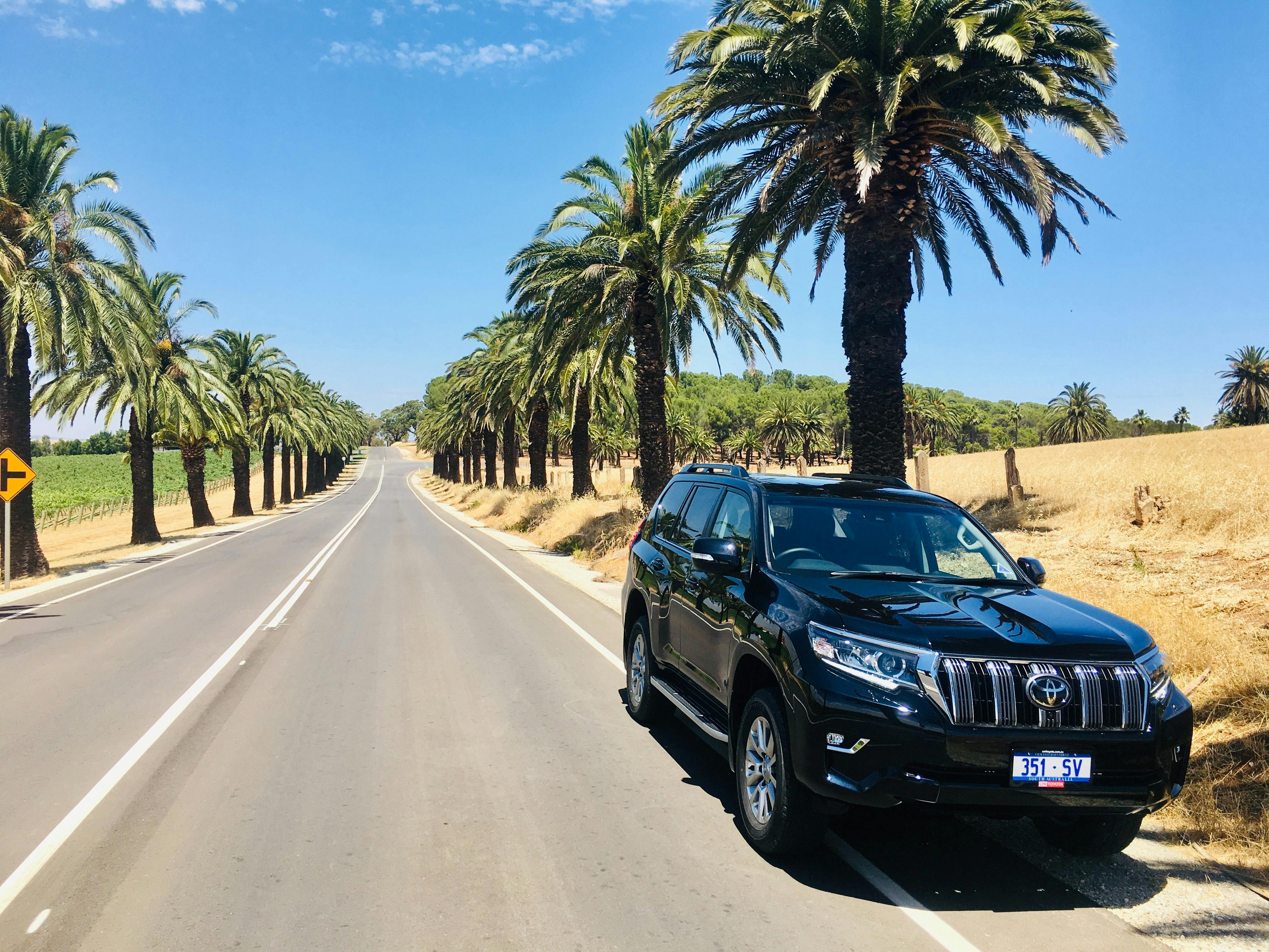 The Barossa's Icons