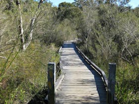 Falcon Crescent Link Track