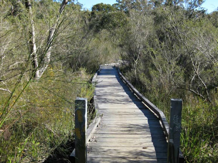 Falcon Crescent boardwalk, Bomaderry Creek Regional Park