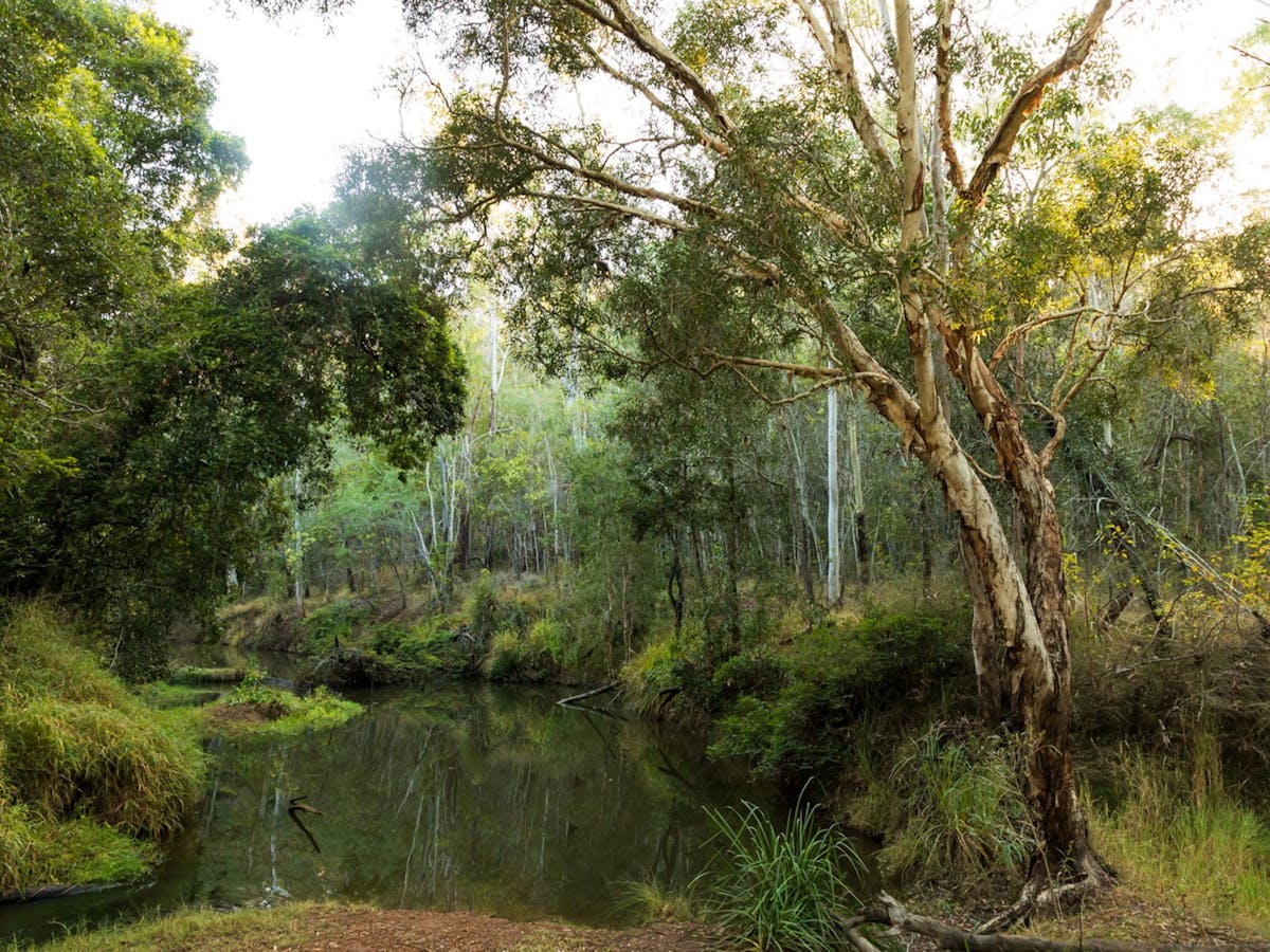Russo Nature Park