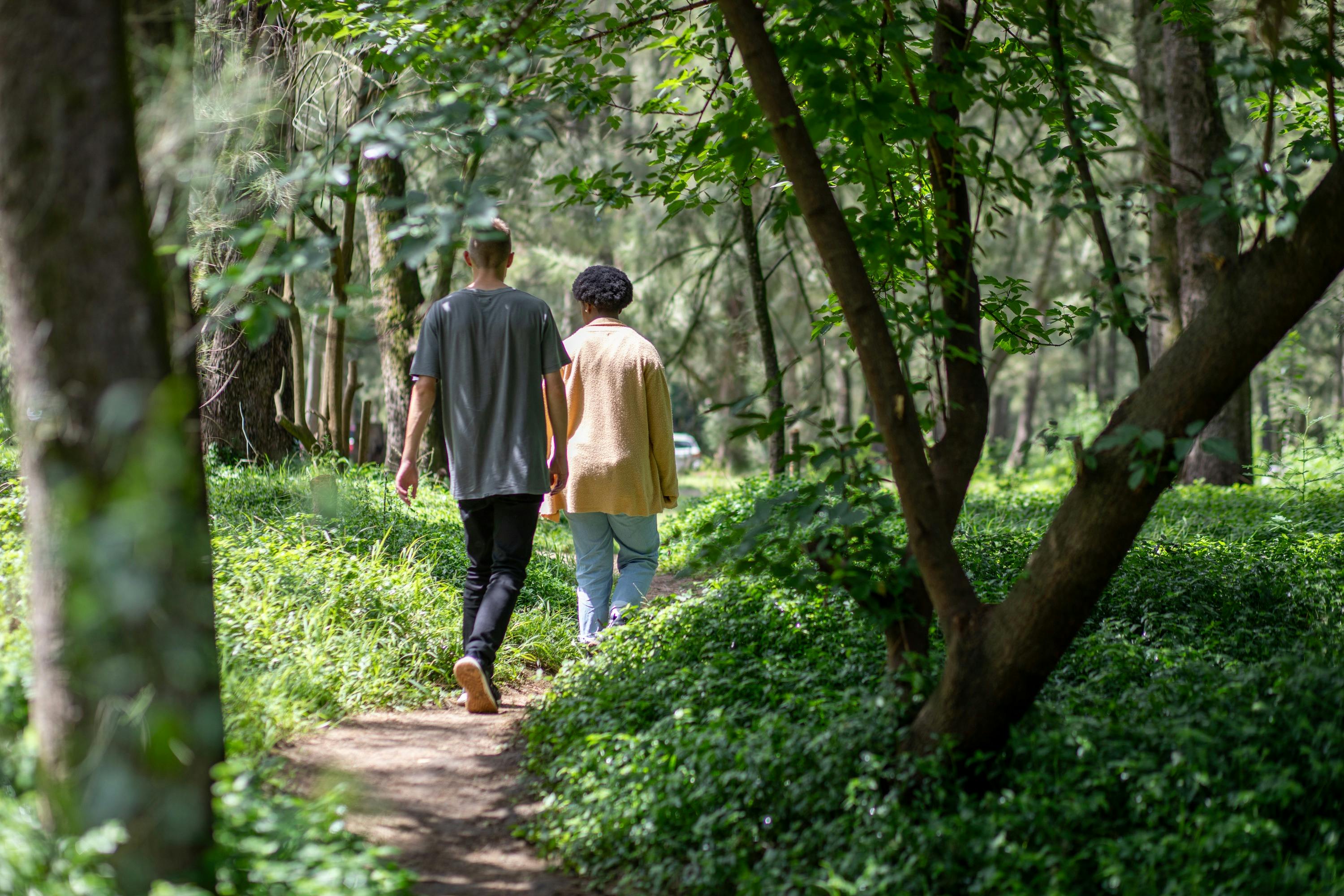아랄루엔 크릭 캠프장(Araluen Creek Campground) 크릭으로 가는 길