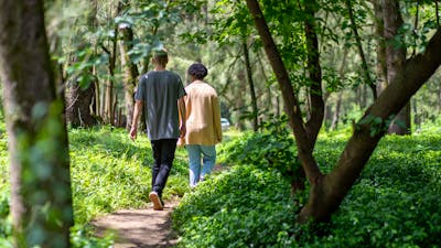 Araluen Creek Campground path to the creek