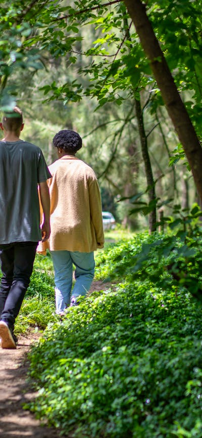 Araluen Creek Campground path to the creek