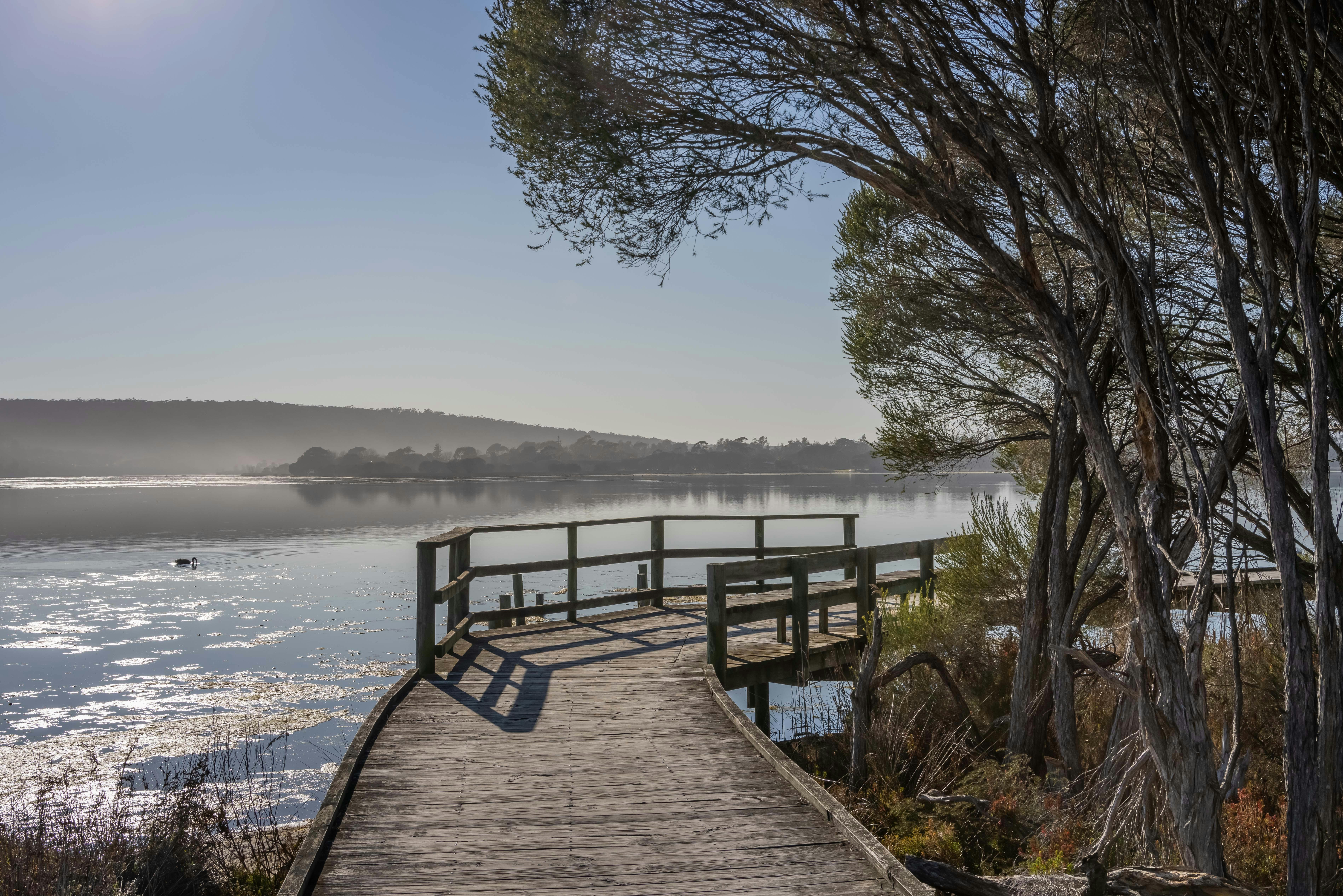 Lake Curalo Boardwalk, Eden, walks, boardwalk, lagoon, Sapphire Coast, South Coast, beach walks