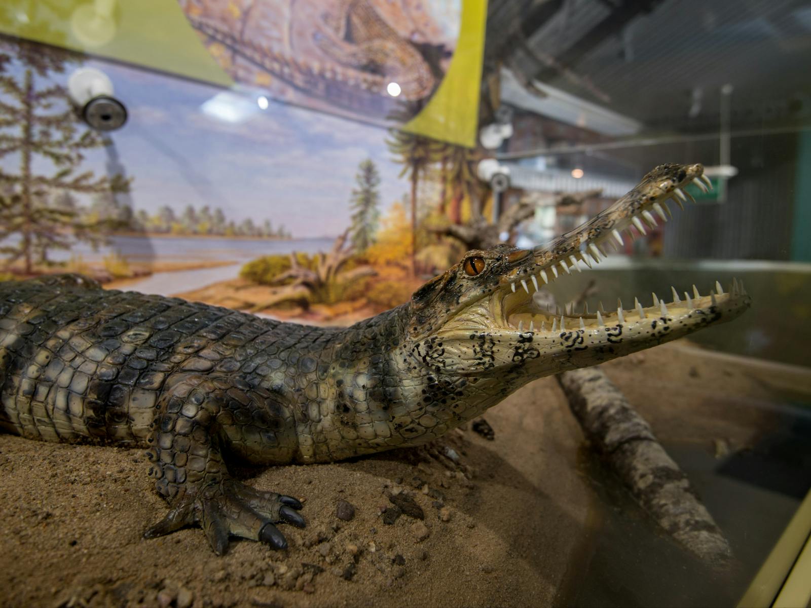 Outer Barcoo Interpretation Centre