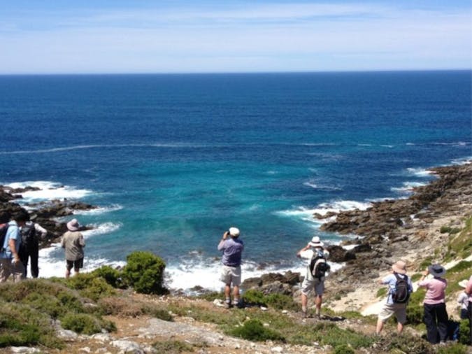 Kangaroo Island Wilderness Trail - 5-Day Group-Guided - Adelaide,...