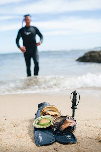 Hunt and Gather Seafood Experience Day Tour