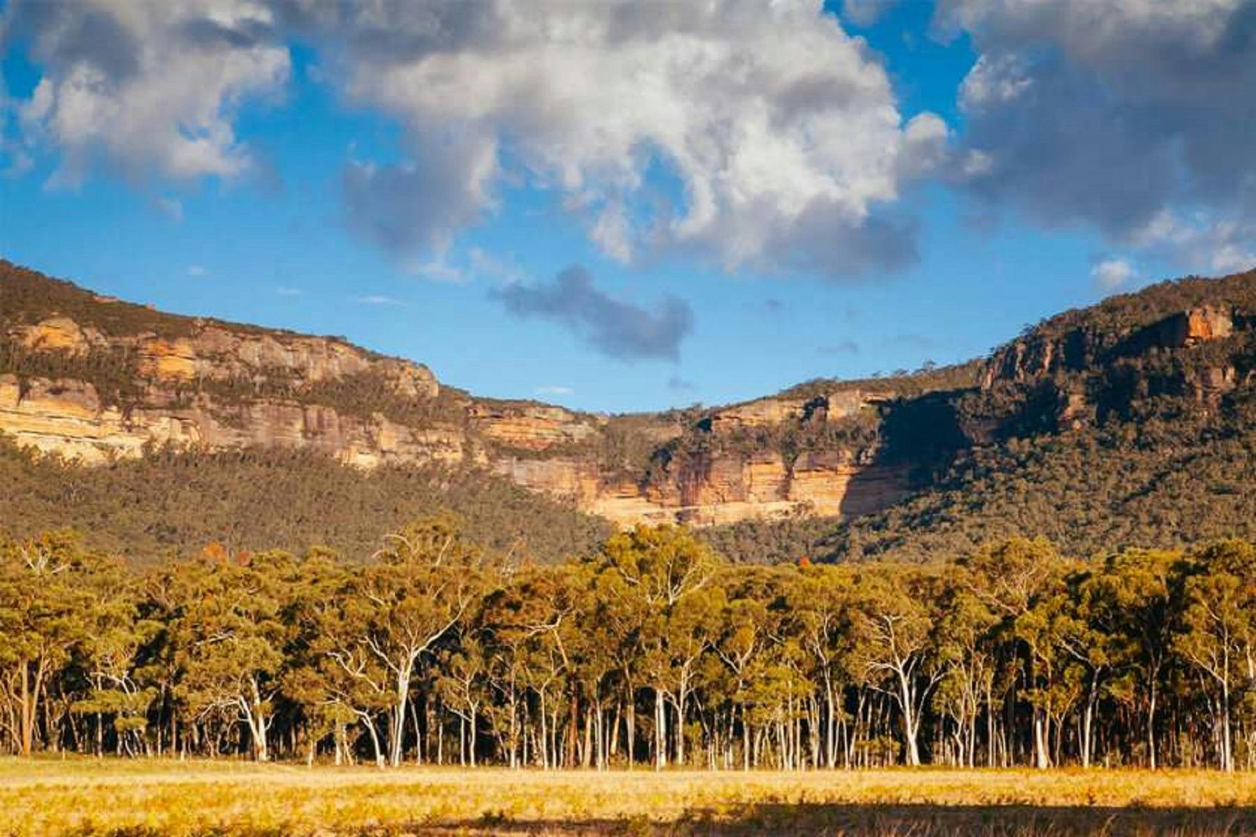 Nature Walk with Tim Low AM - The Lyrebird Festival