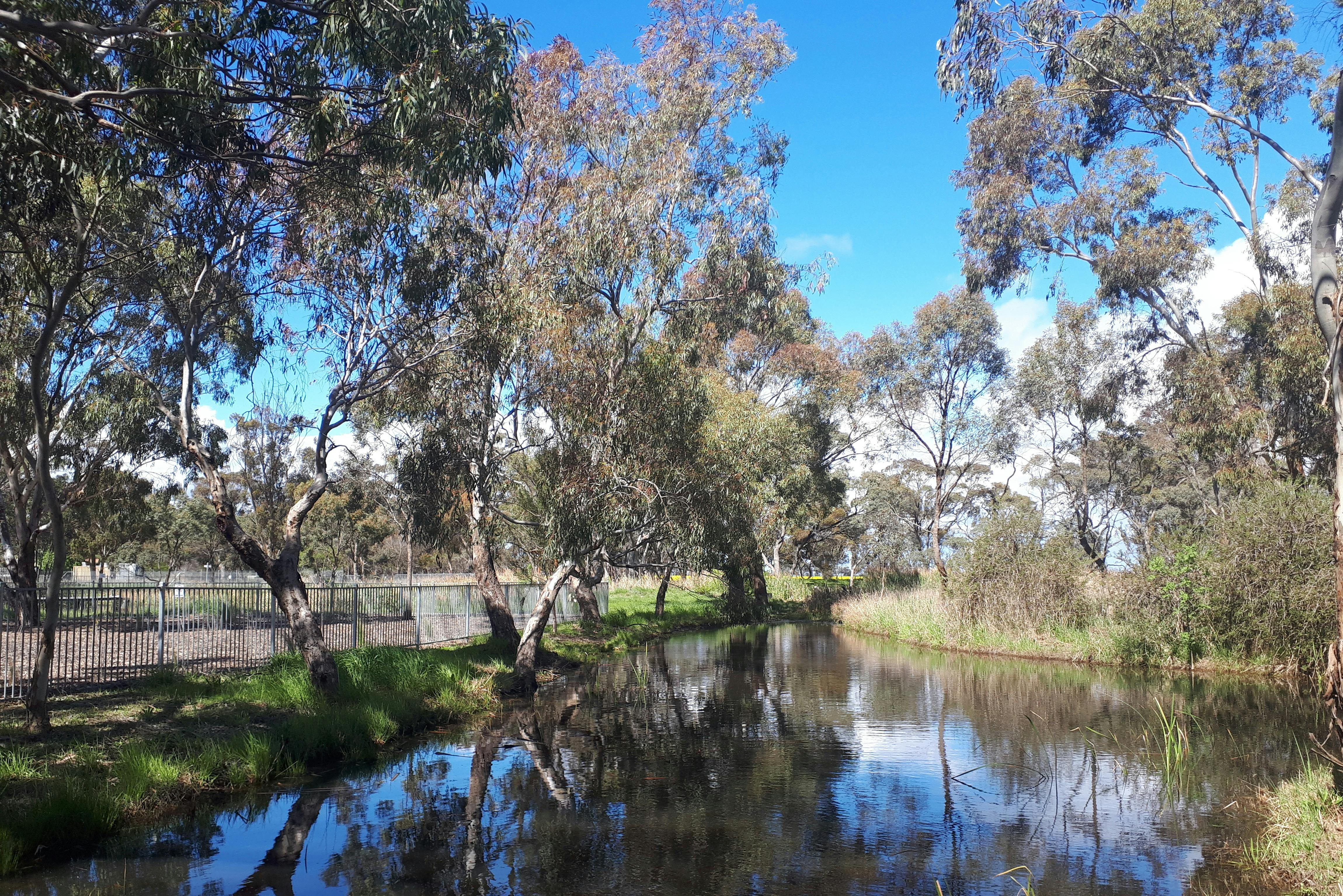 Kaniva Wetlands & Fauna Park
