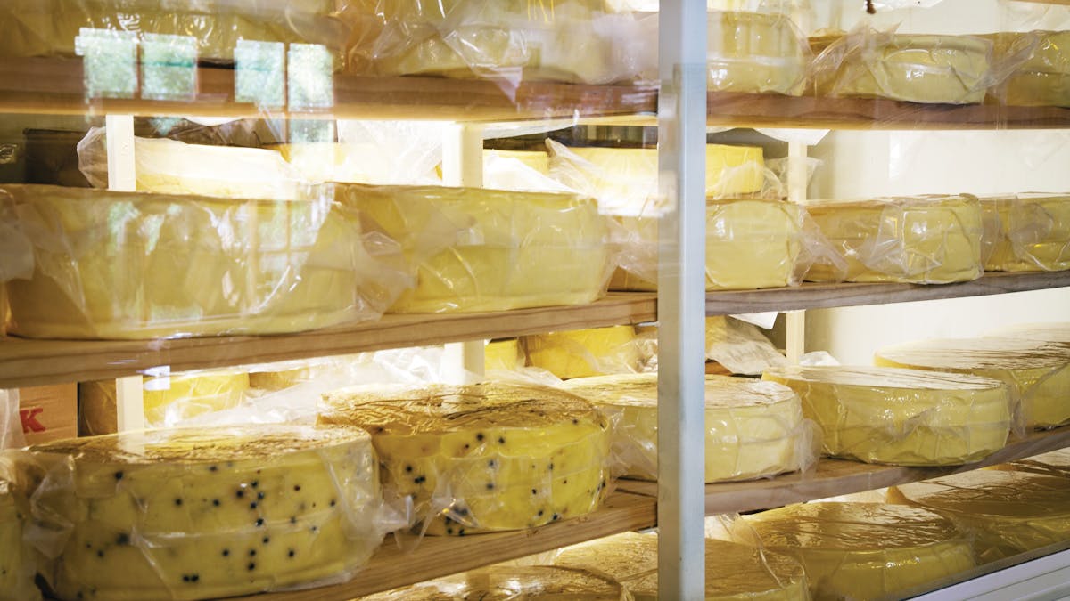 Stanthorpe Cheese