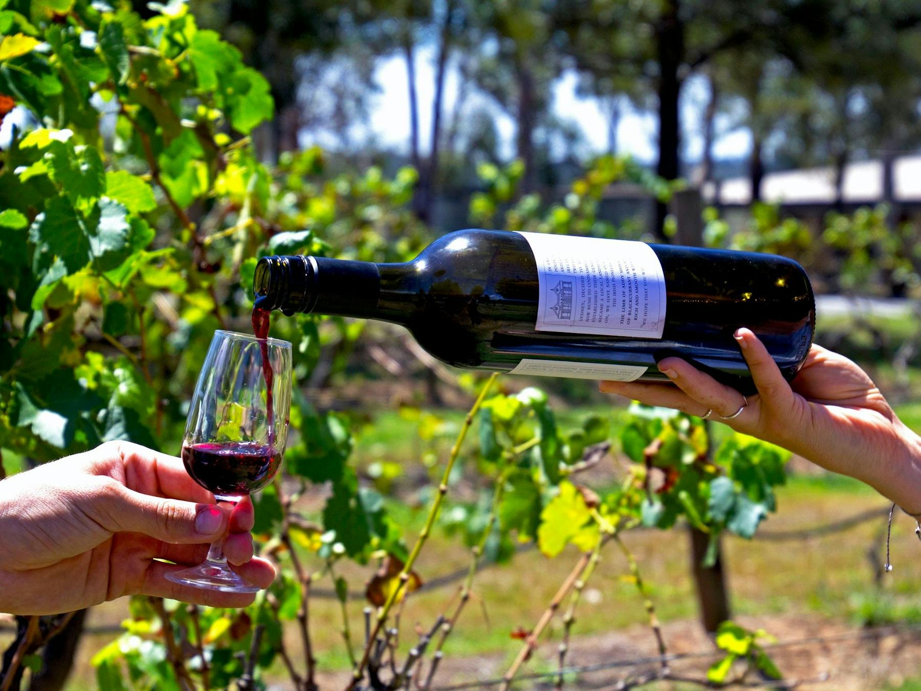 Hunter Valley Resort