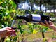 Hunter Valley Resort