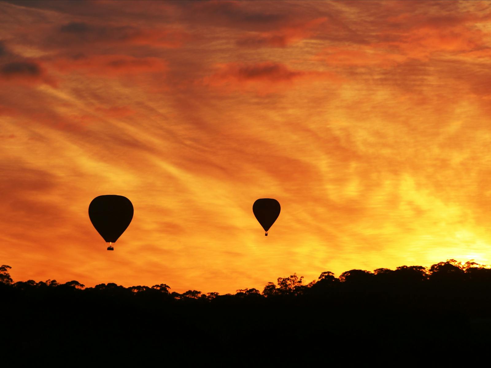 Barossa Balloon Adventures