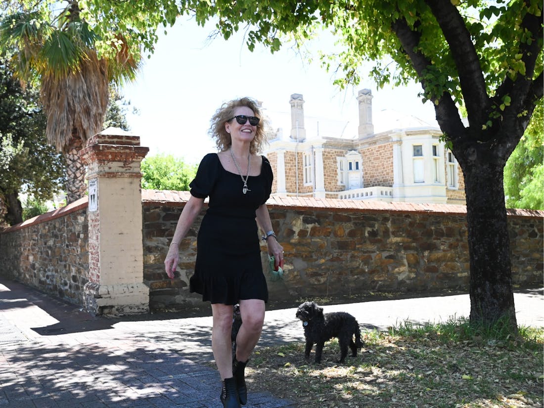 Hutt Street Dog Sign Art Trail Adelaide, Event South Australia