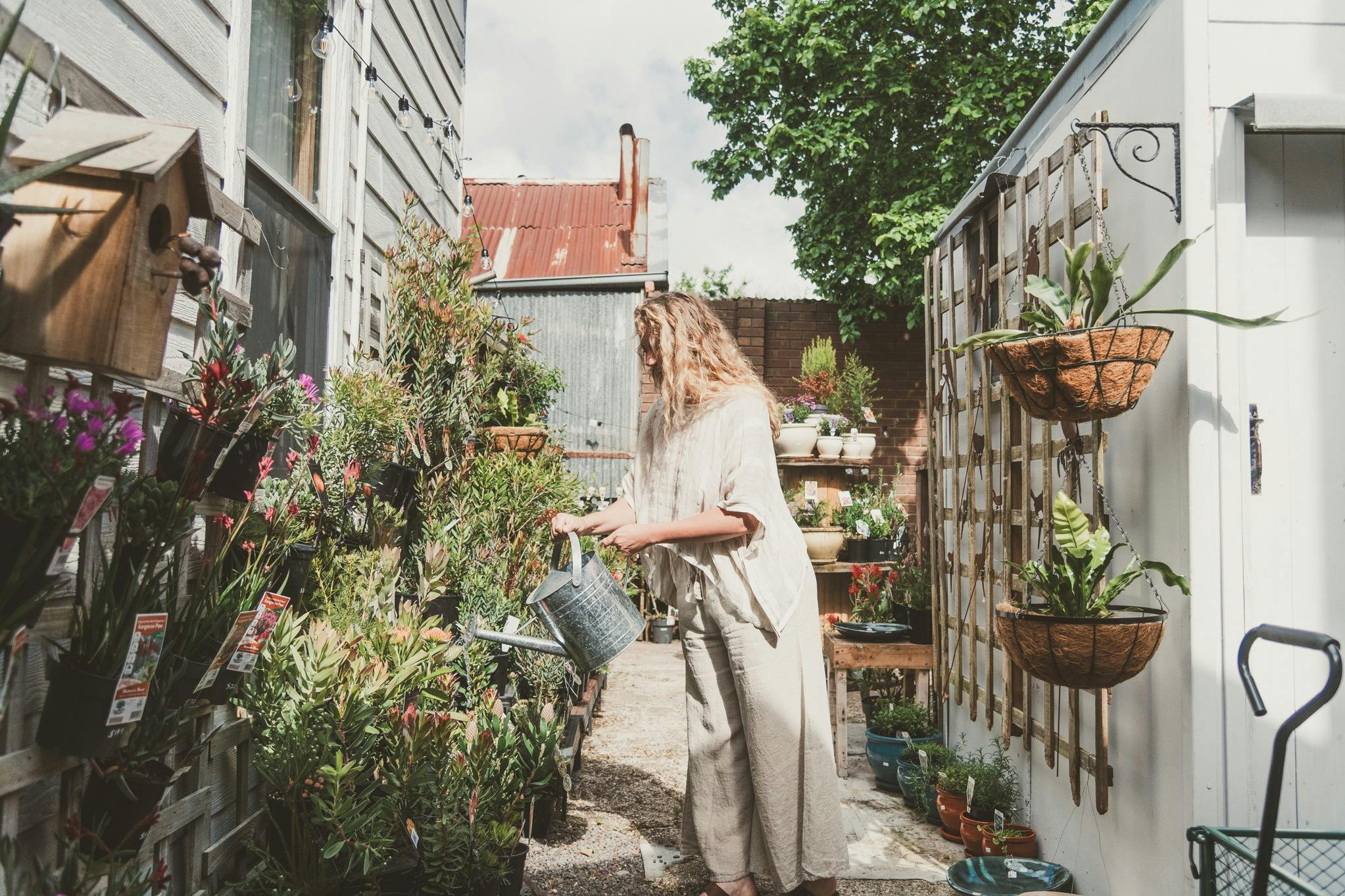 Amy watering her plants in the nursery.