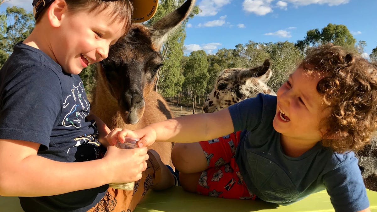 fun for all ages on the farm visit