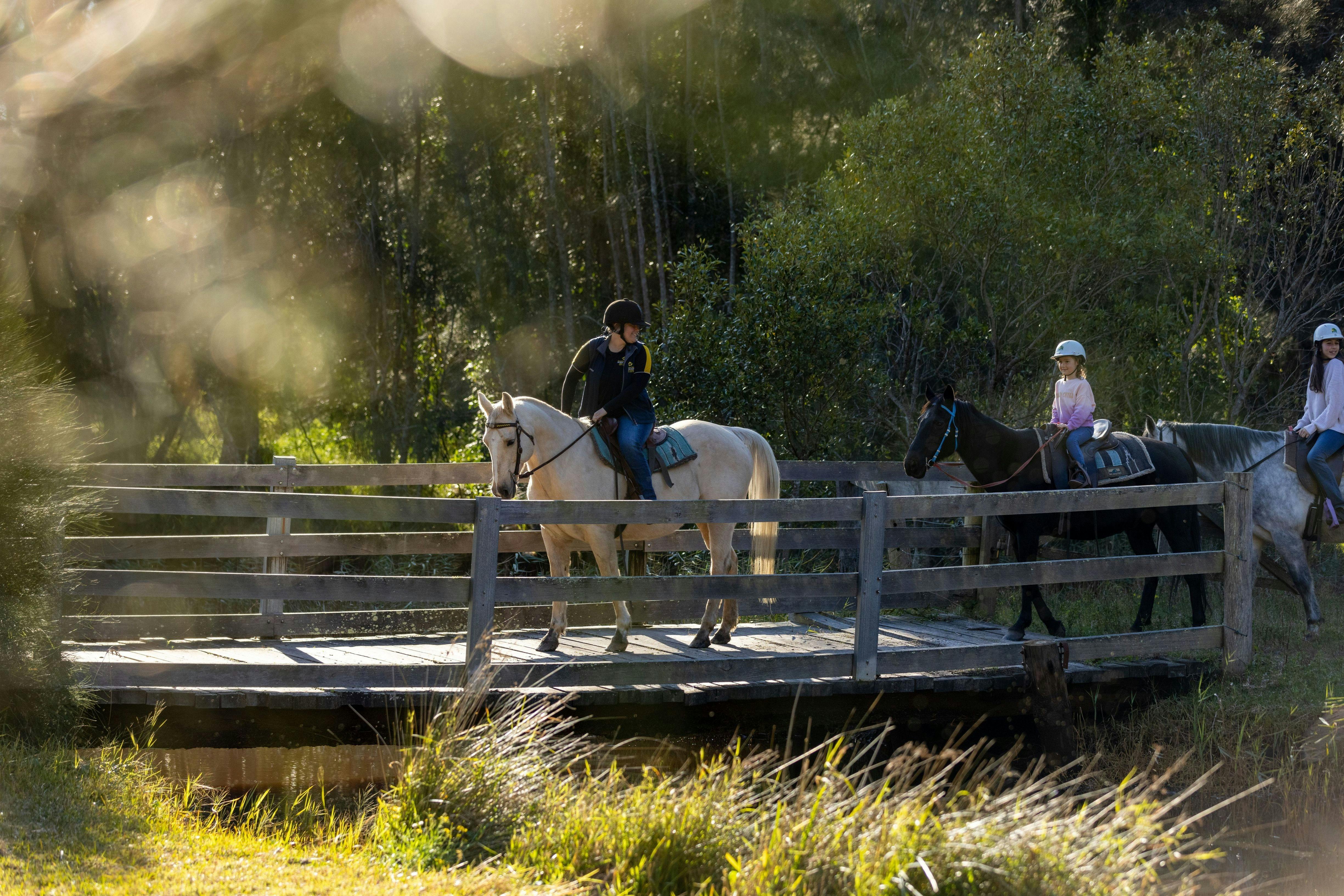Group riding horses on bridge