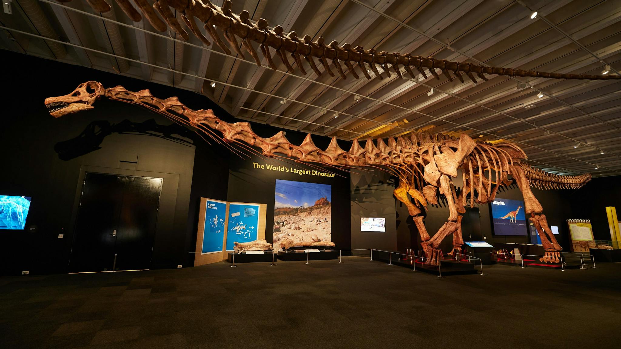 Patagotitan at Queensland Museum