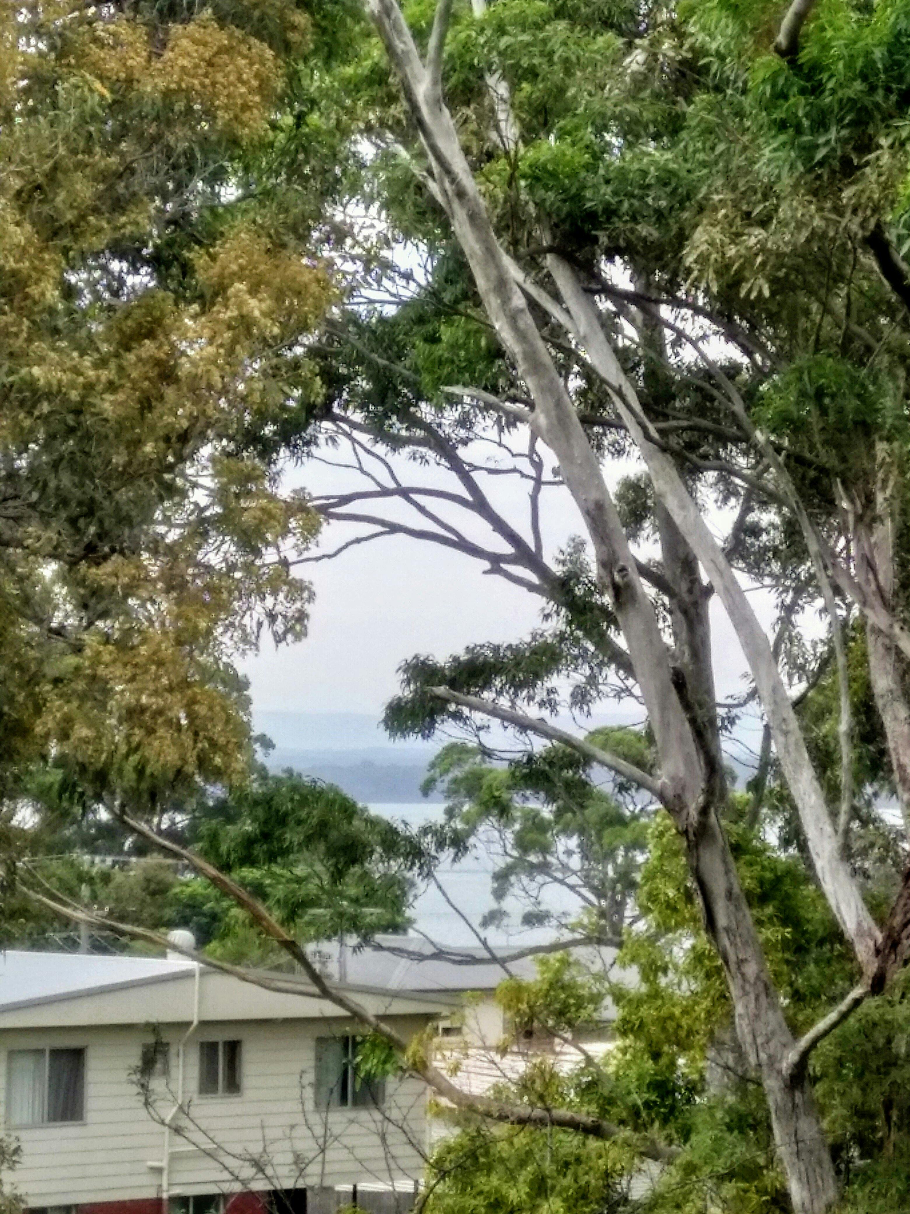 Basin Bliss NSW Holidays Accommodation Things to Do 