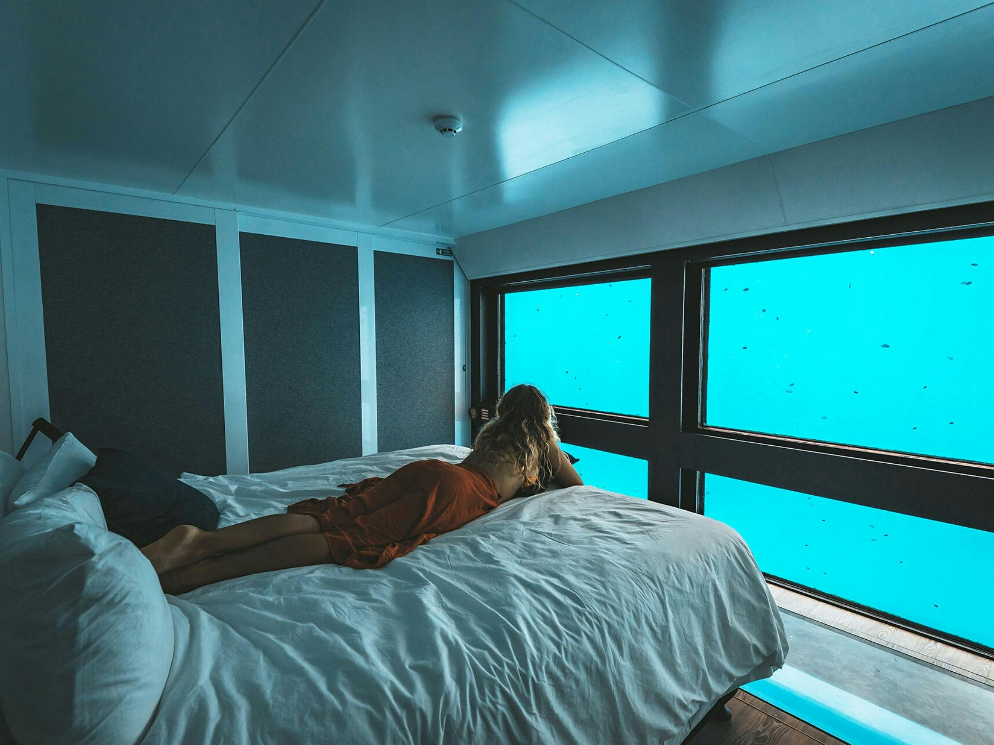 Reefsuite